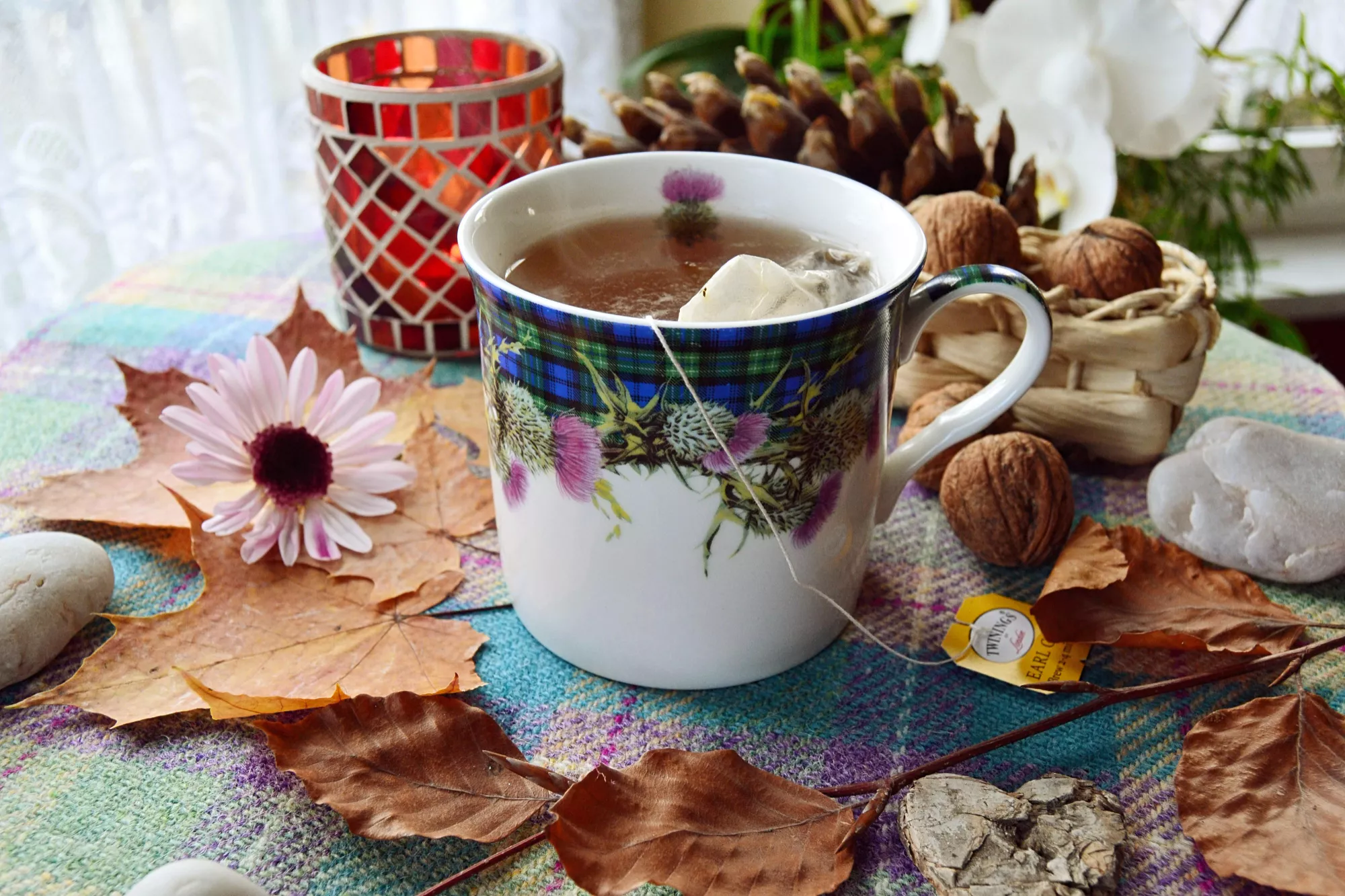 Komme mit einer frischen Tasse Tee zum Kaffeekränzchen!