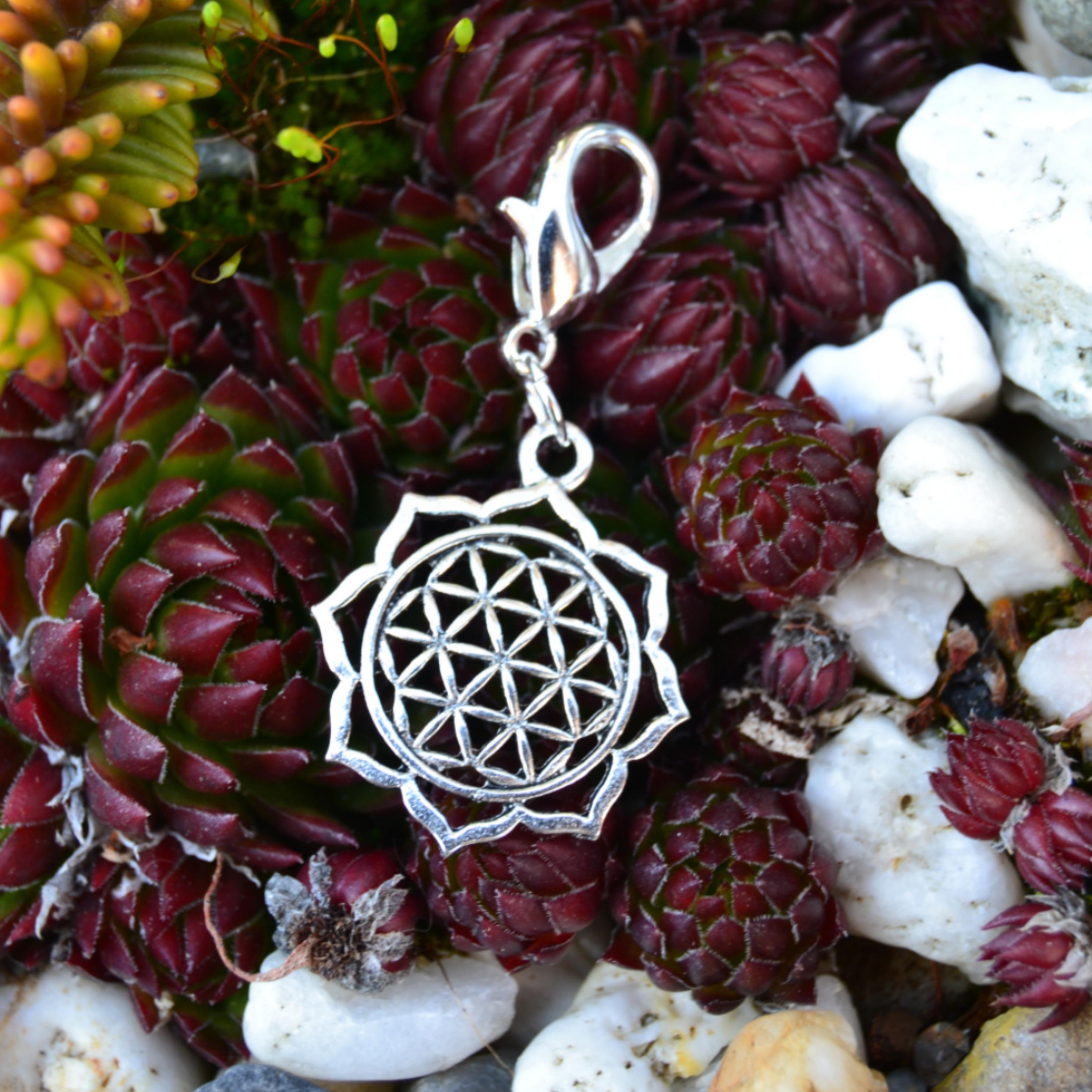 Klassischer Maschenmarkierer Flower of Life auf Succulent